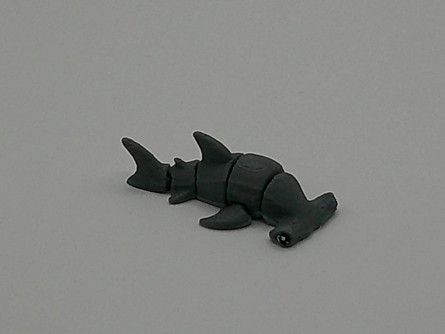 Pocket Pet Hammerhead Shark