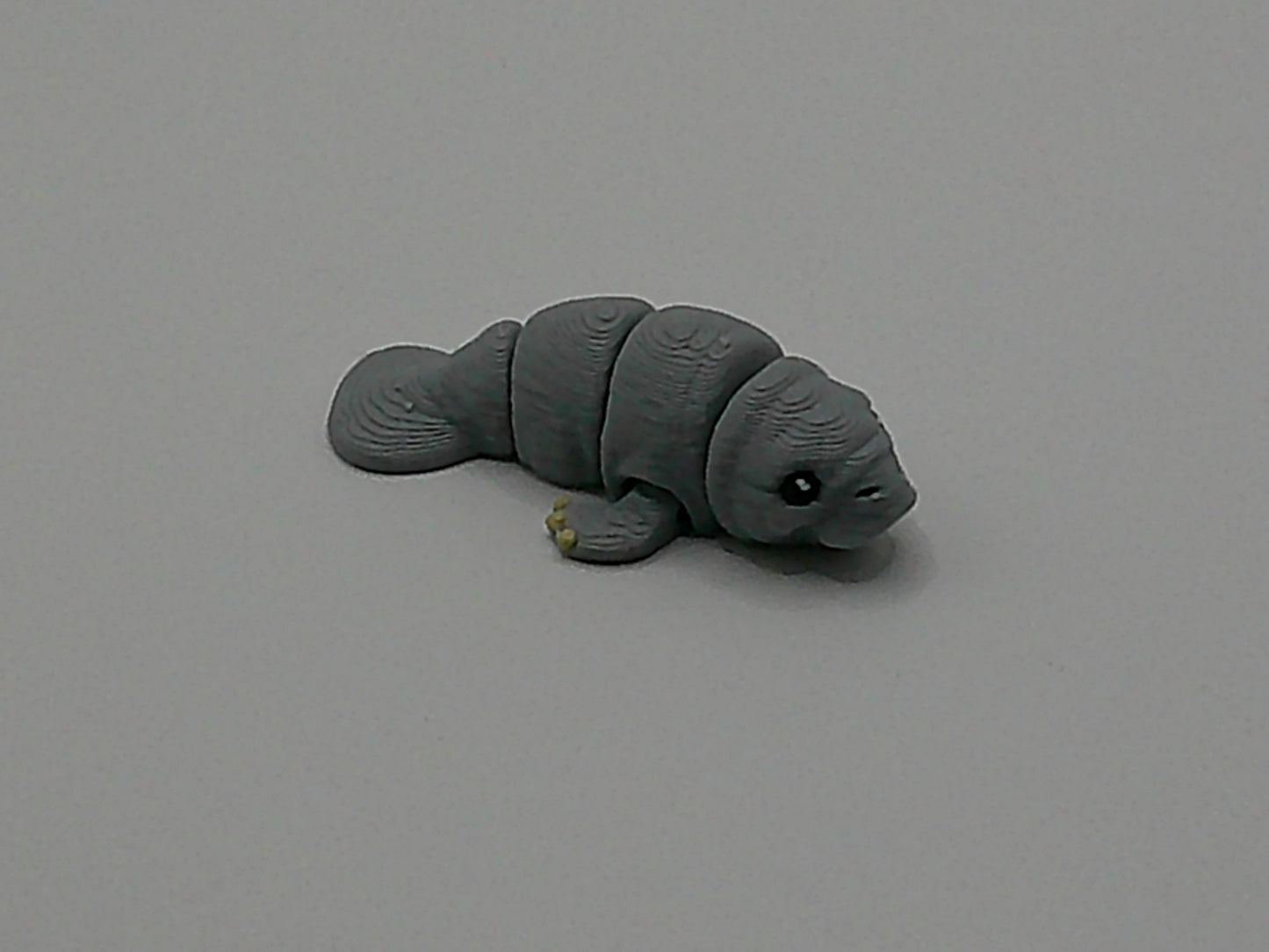 Pocket Pet Manatee