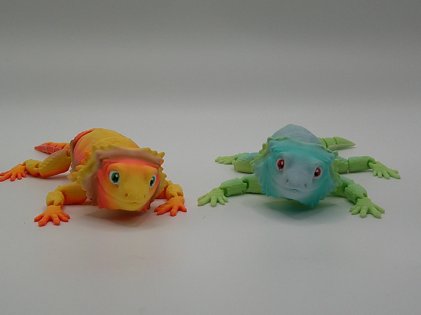 Bearded dragon transitioning filaments (random)