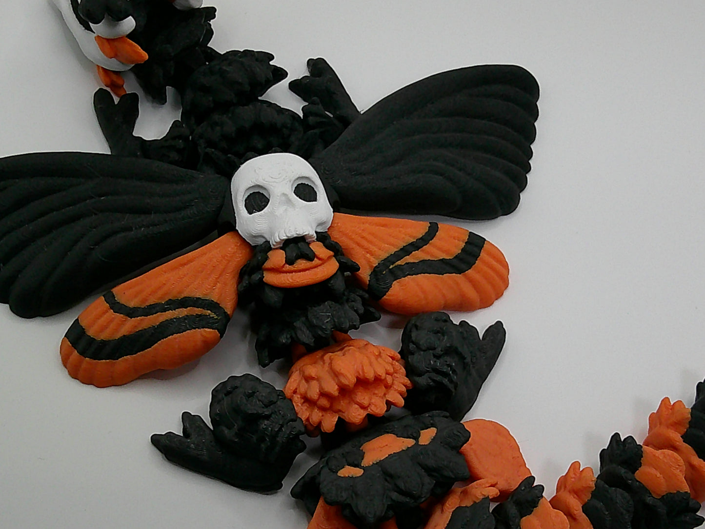 Giant Death Moth Dragon