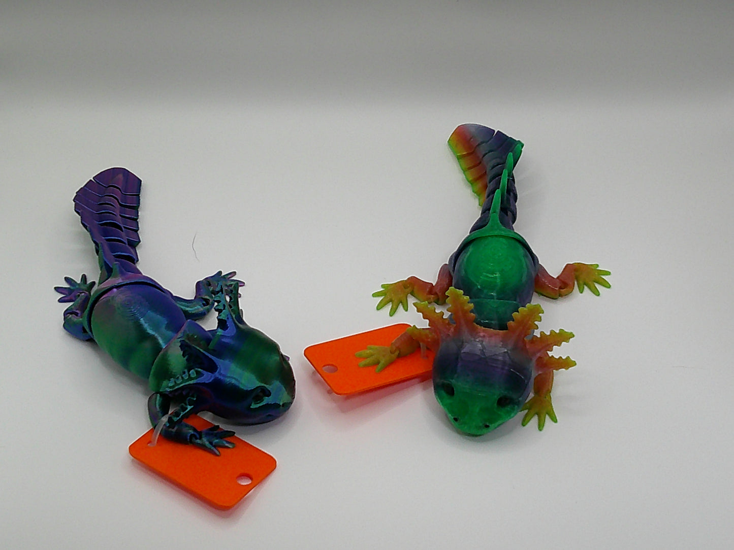 Axolotl (Random Colors)