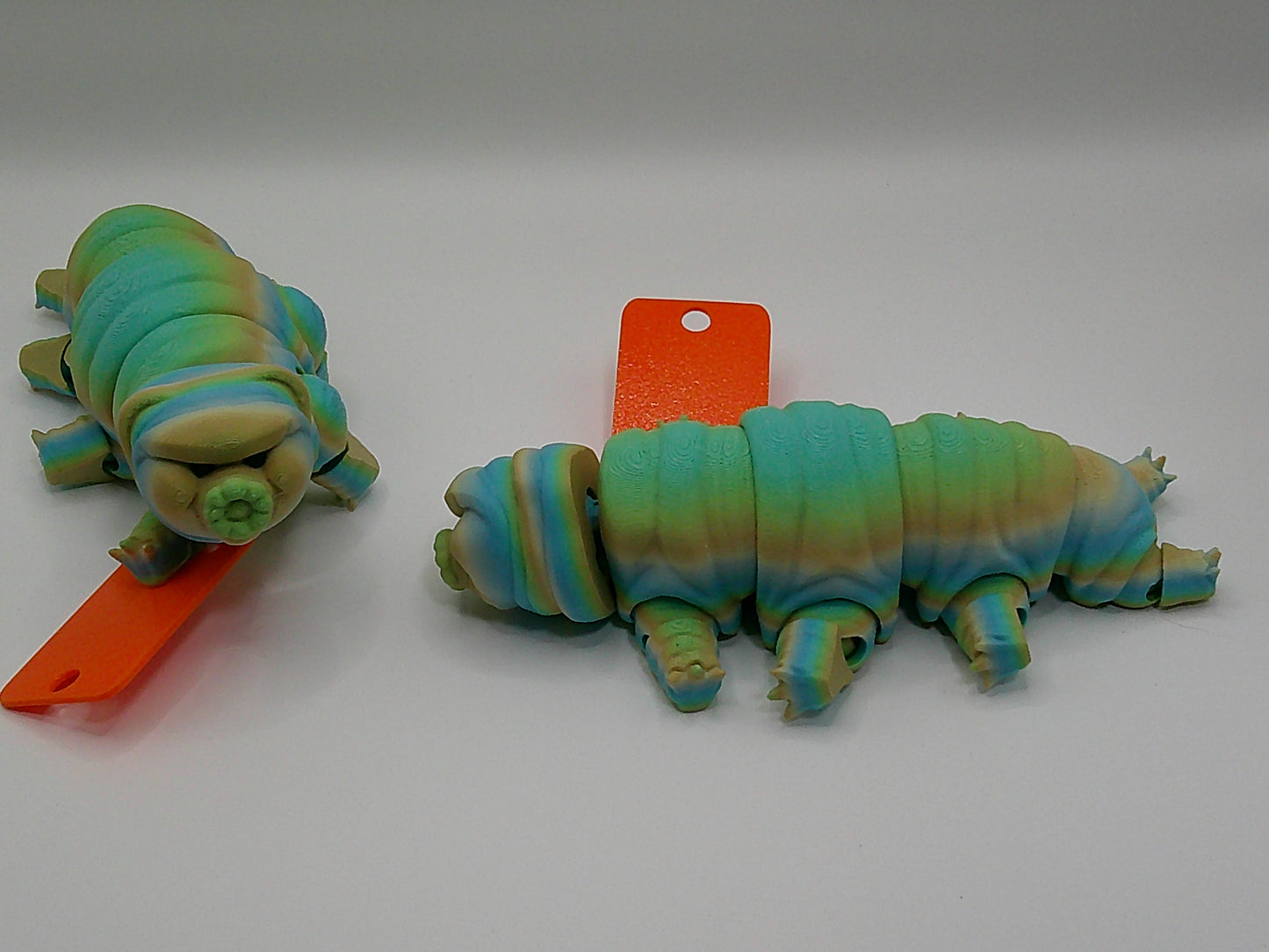 Tardigrade (Waterbear)