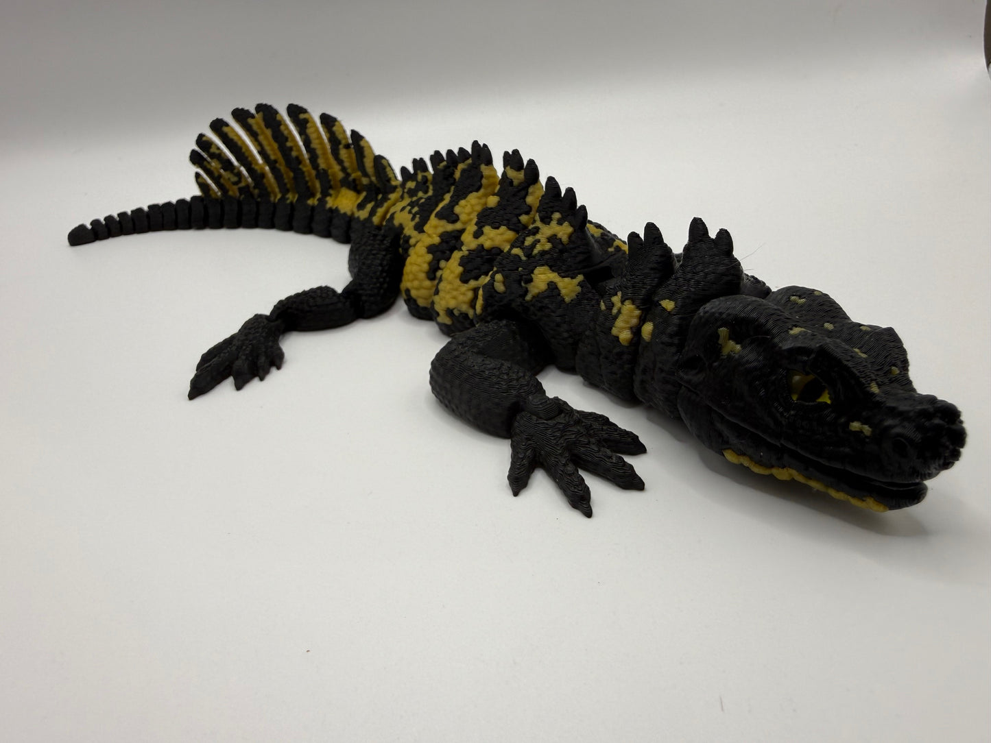 Sailfin Dragon Lizard