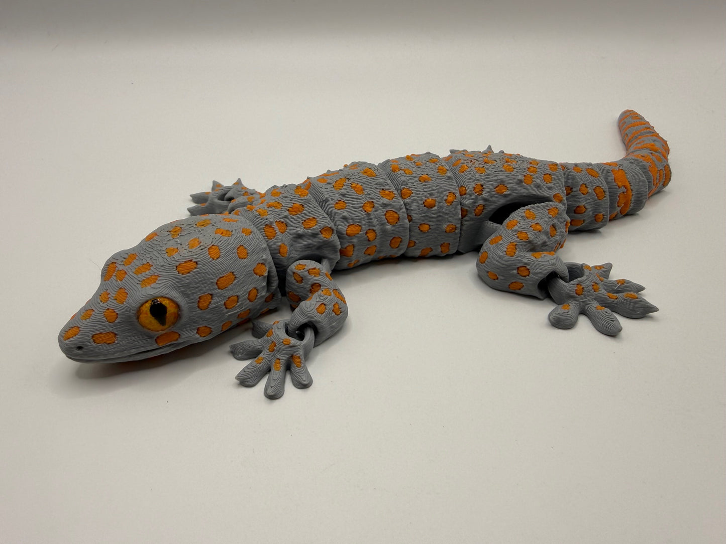 Tokay Gecko