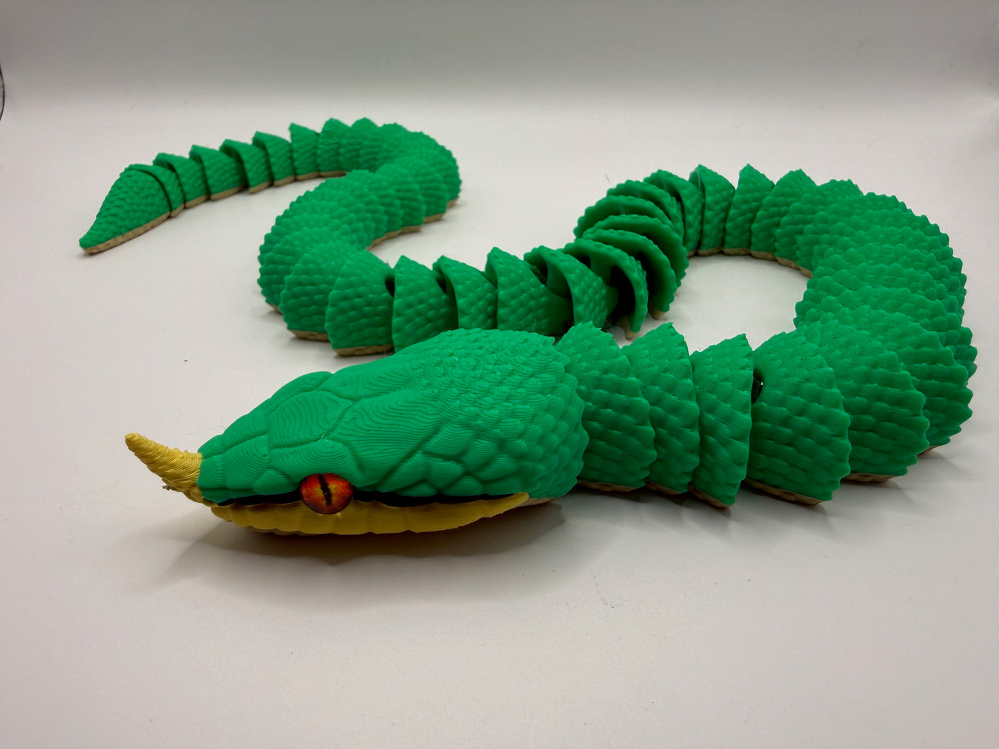 Rhinoceros Rat Snake