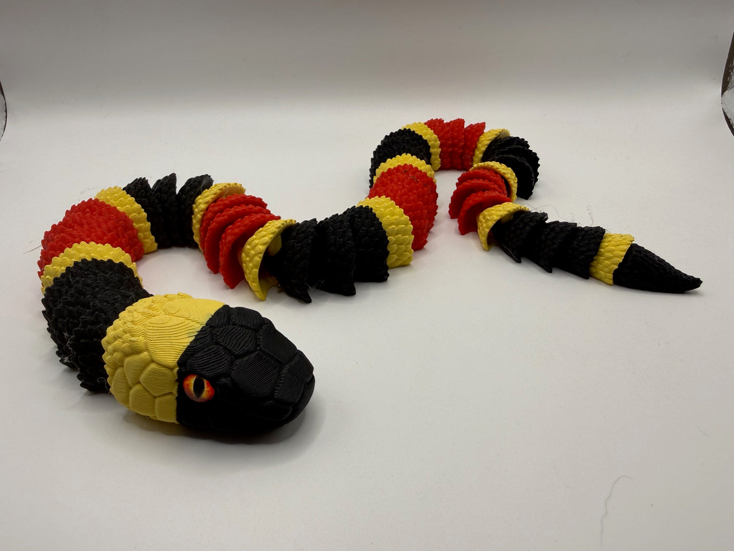 Coral Snake