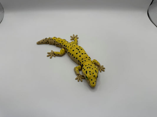 Leopard Gecko