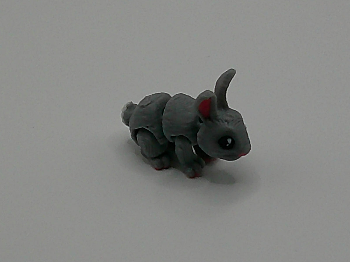 Pocket Pet Rabbit