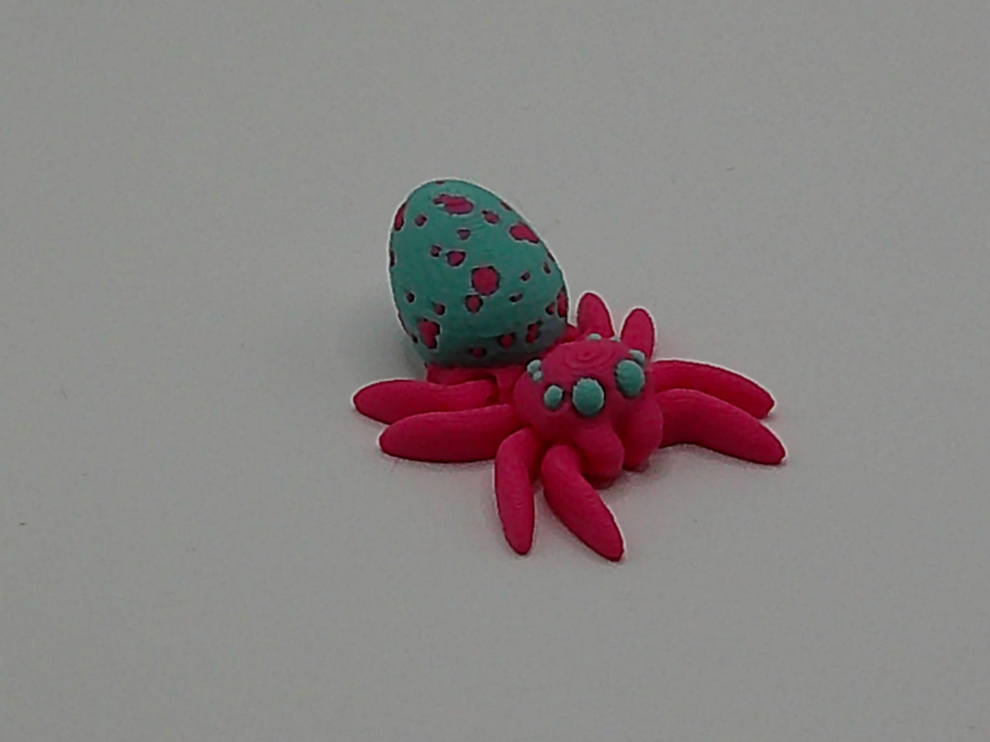 Pocket Pet Egg Spider