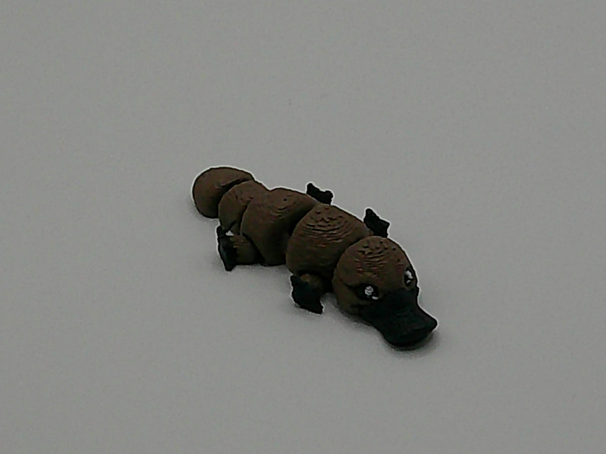 Pocket Pet Platypus