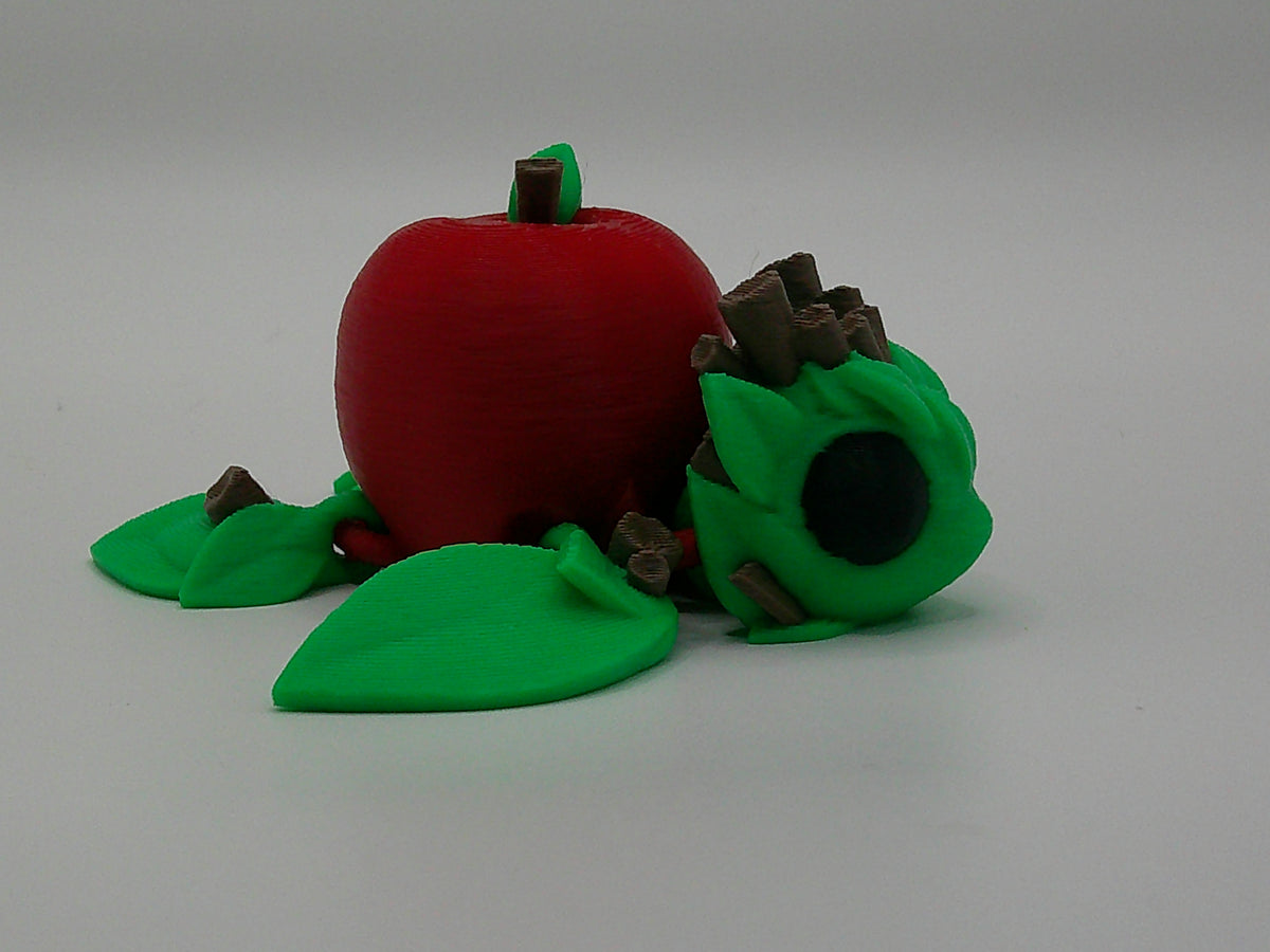 Apple Turtle