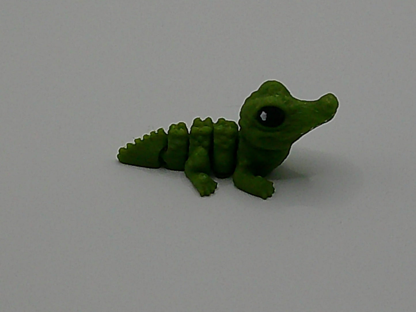 Pocket Pet Crocodile