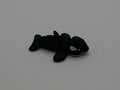 Pocket Pet Orca Whale