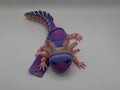 Axolotl Varying Colors