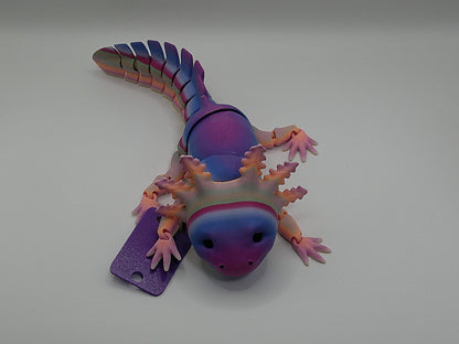 Axolotl Varying Colors