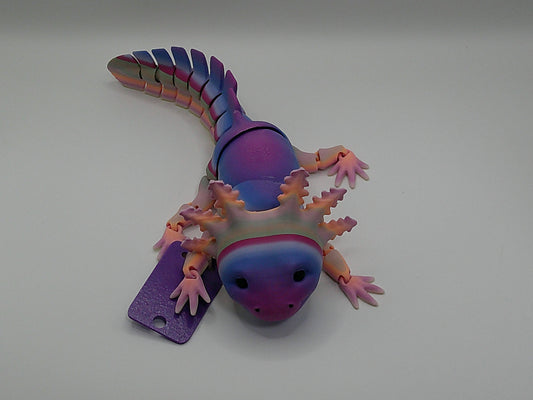 Axolotl Varying Colors