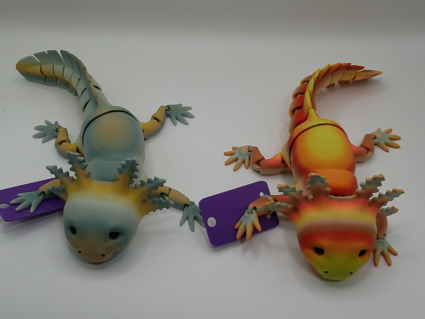 Axolotl Varying Colors