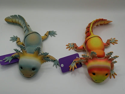 Axolotl Varying Colors