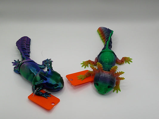 Axolotl (Random Colors)