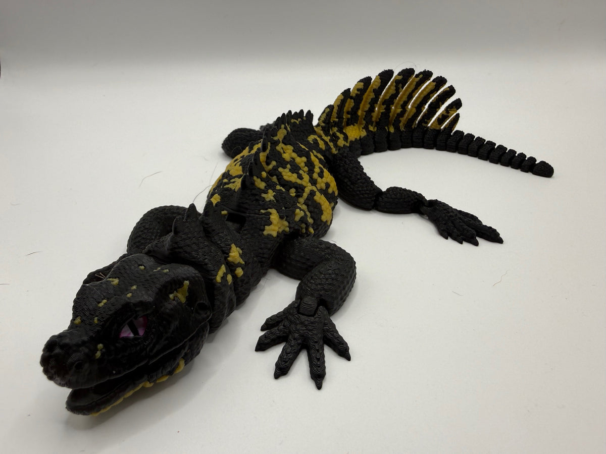 Sailfin Dragon Lizard