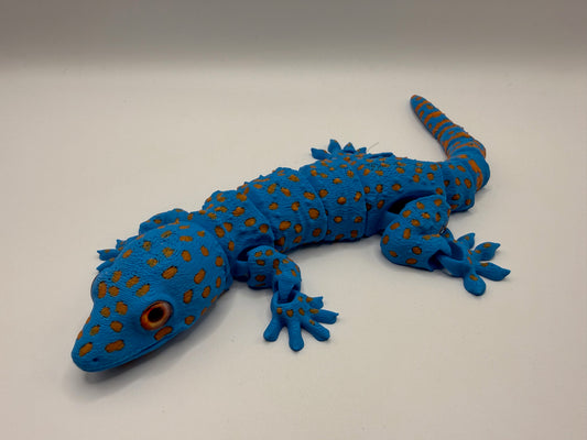 Tokay Gecko