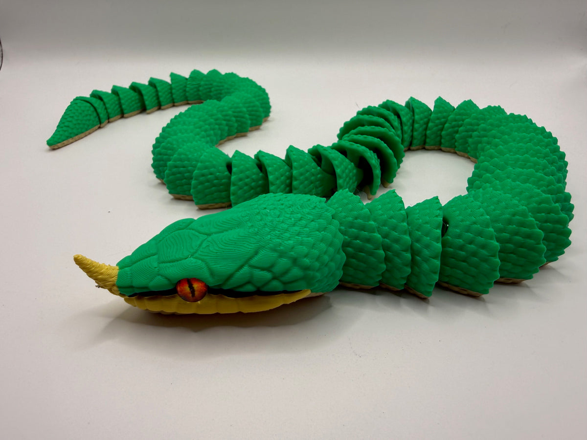 Rhinoceros Rat Snake