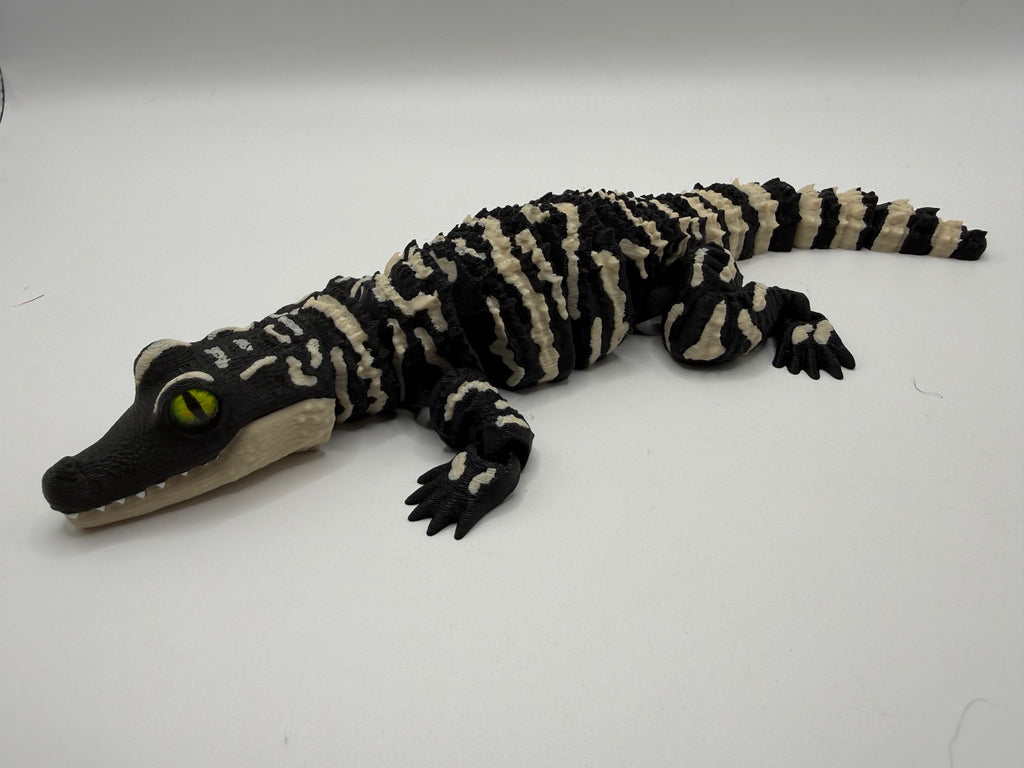 Baby Alligator