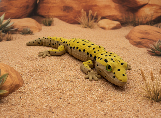 Leopard Gecko