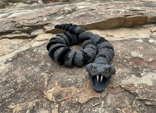 Banded Rock Rattlesnake With working Rattle and Opening mouth with pull out fangs