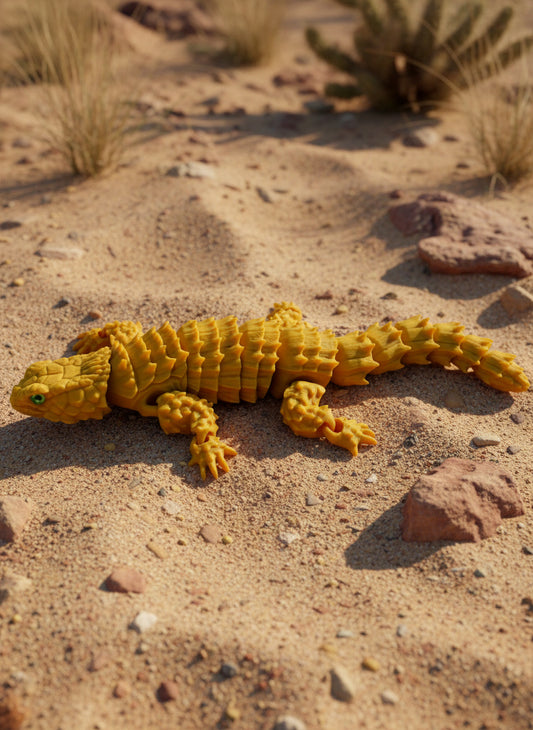 Armadillo Girdled Lizard