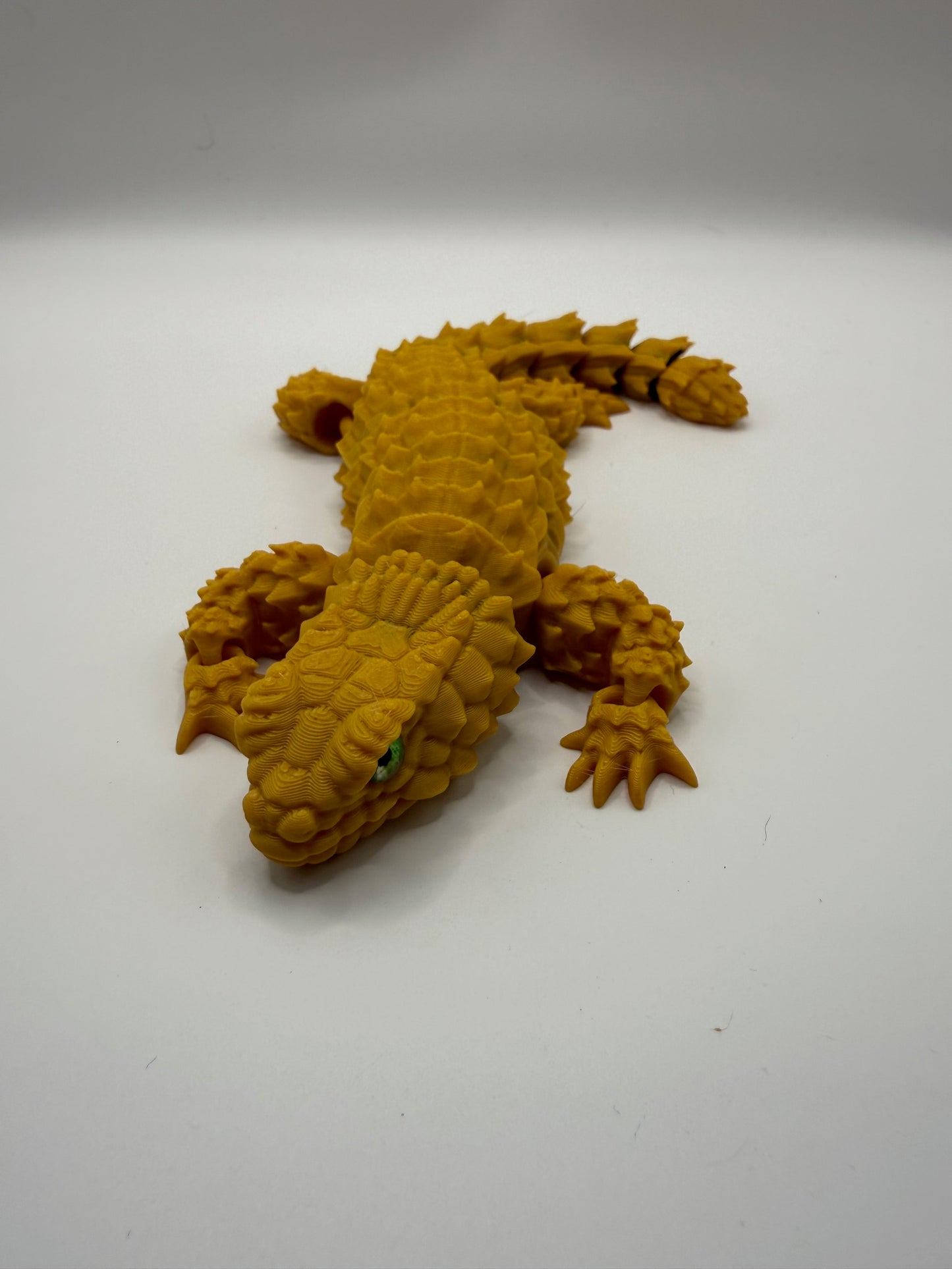 Armadillo Girdled Lizard