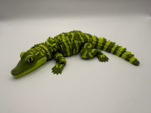 Baby Alligator