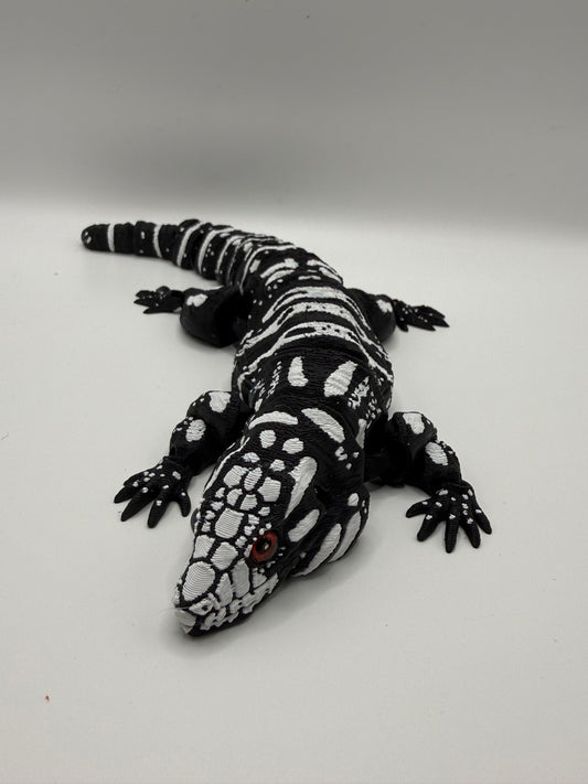 Tegu Lizard